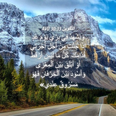 Picture 04 - اَلتَّكْوِينُ 30:33 AVD - وَيَشْهَدُ فِيَّ بِرِّي - Bible Verse Picture