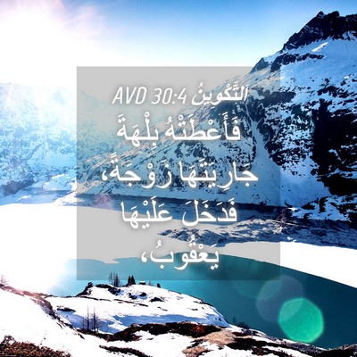 Picture 04 - اَلتَّكْوِينُ 30:4 AVD - فَأَعْطَتْهُ بِلْهَةَ - Bible Verse Picture