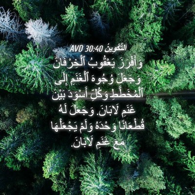 Picture 04 - اَلتَّكْوِينُ 30:40 AVD - وَأَفْرَزَ يَعْقُوبُ - Bible Verse Picture