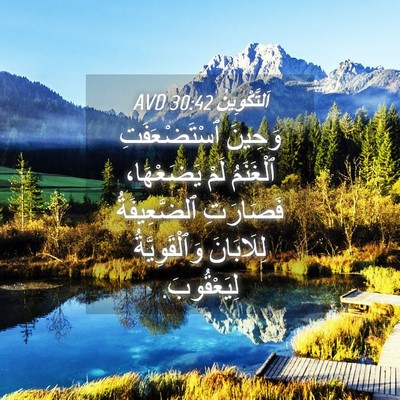 Picture 04 - اَلتَّكْوِينُ 30:42 AVD - وَحِينَ ٱسْتَضْعَفَتِ - Bible Verse Picture