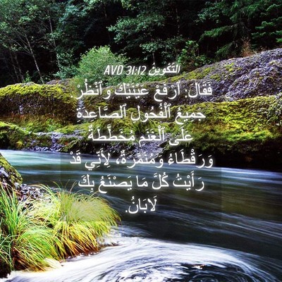 Picture 04 - اَلتَّكْوِينُ 31:12 AVD - فَقَالَ: ٱرْفَعْ - Bible Verse Picture