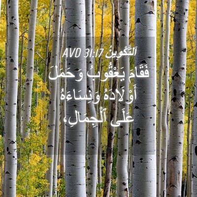 Picture 04 - اَلتَّكْوِينُ 31:17 AVD - فَقَامَ يَعْقُوبُ - Bible Verse Picture