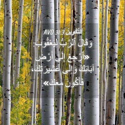 Picture 04 - اَلتَّكْوِينُ 31:3 AVD - وَقَالَ ٱلرَّبُّ - Bible Verse Picture