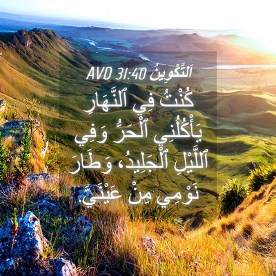 Picture 04 - اَلتَّكْوِينُ 31:40 AVD - كُنْتُ فِي ٱلنَّهَارِ - Bible Verse Picture