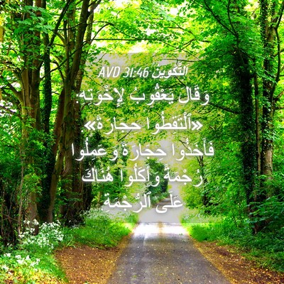 Picture 04 - اَلتَّكْوِينُ 31:46 AVD - وَقَالَ يَعْقُوبُ - Bible Verse Picture