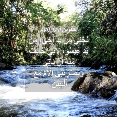 Picture 04 - اَلتَّكْوِينُ 32:11 AVD - نَجِّنِي مِنْ يَدِ أَخِي، - Bible Verse Picture