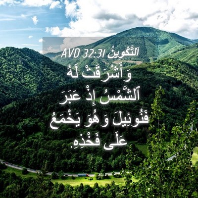 Picture 04 - اَلتَّكْوِينُ 32:31 AVD - وَأَشْرَقَتْ لَهُ - Bible Verse Picture