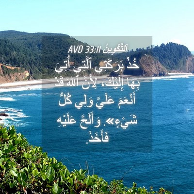 Picture 04 - اَلتَّكْوِينُ 33:11 AVD - خُذْ بَرَكَتِي ٱلَّتِي - Bible Verse Picture