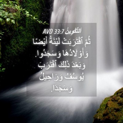 Picture 04 - اَلتَّكْوِينُ 33:7 AVD - ثُمَّ ٱقْتَرَبَتْ - Bible Verse Picture