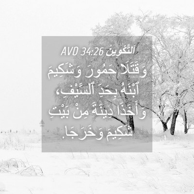 Picture 04 - اَلتَّكْوِينُ 34:26 AVD - وَقَتَلَا حَمُورَ - Bible Verse Picture