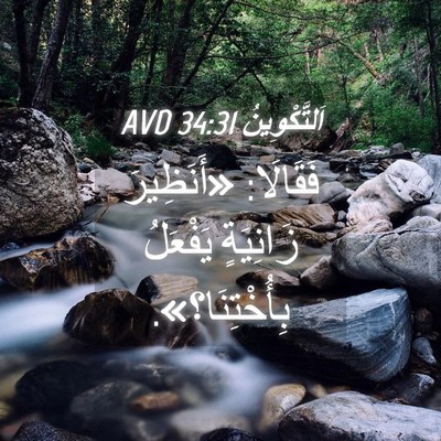 Picture 04 - اَلتَّكْوِينُ 34:31 AVD - فَقَالَا: «أَنَظِيرَ - Bible Verse Picture
