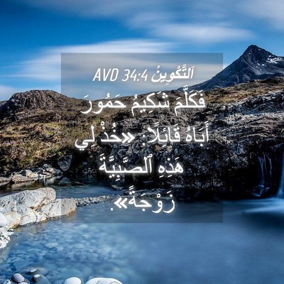Picture 04 - اَلتَّكْوِينُ 34:4 AVD - فَكَلَّمَ شَكِيمُ حَمُورَ - Bible Verse Picture
