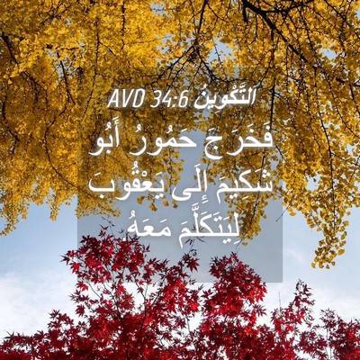 Picture 04 - اَلتَّكْوِينُ 34:6 AVD - فَخَرَجَ حَمُورُ أَبُو - Bible Verse Picture