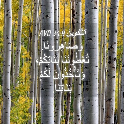 Picture 04 - اَلتَّكْوِينُ 34:9 AVD - وَصَاهِرُونَا. - Bible Verse Picture