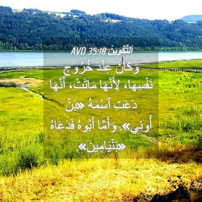 Picture 04 - اَلتَّكْوِينُ 35:18 AVD - وَكَانَ عِنْدَ خُرُوجِ - Bible Verse Picture