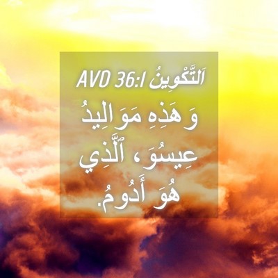 Picture 04 - اَلتَّكْوِينُ 36:1 AVD - وَهَذِهِ مَوَالِيدُ - Bible Verse Picture