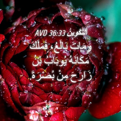 Picture 04 - اَلتَّكْوِينُ 36:33 AVD - وَمَاتَ بَالَعُ، فَمَلَكَ - Bible Verse Picture