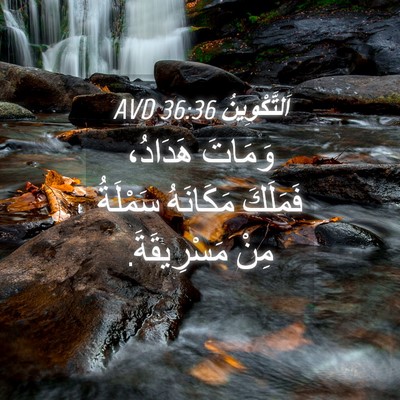 Picture 04 - اَلتَّكْوِينُ 36:36 AVD - وَمَاتَ هَدَادُ، فَمَلَكَ - Bible Verse Picture