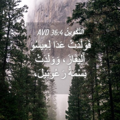 Picture 04 - اَلتَّكْوِينُ 36:4 AVD - فَوَلَدَتْ عَدَا لِعِيسُو - Bible Verse Picture