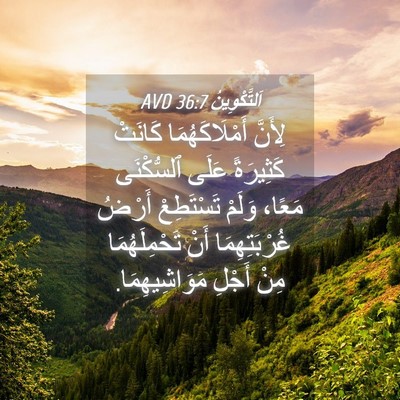 Picture 04 - اَلتَّكْوِينُ 36:7 AVD - لِأَنَّ أَمْلَاكَهُمَا - Bible Verse Picture