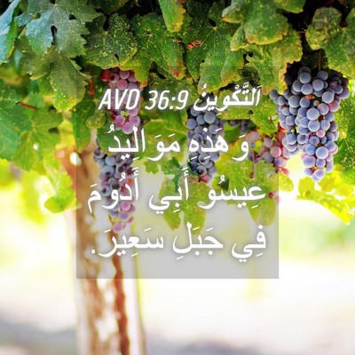 Picture 04 - اَلتَّكْوِينُ 36:9 AVD - وَهَذِهِ مَوَالِيدُ - Bible Verse Picture