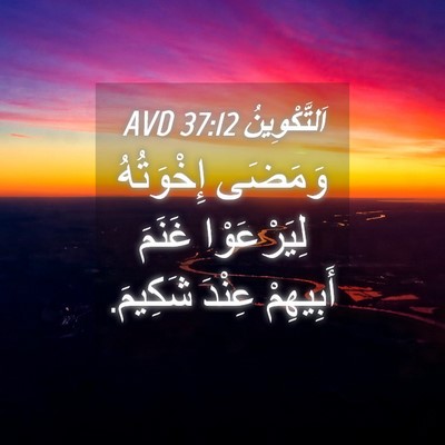 Picture 04 - اَلتَّكْوِينُ 37:12 AVD - وَمَضَى إِخْوَتُهُ - Bible Verse Picture