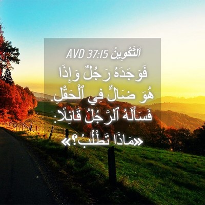 Picture 04 - اَلتَّكْوِينُ 37:15 AVD - فَوَجَدَهُ رَجُلٌ وَإِذَا - Bible Verse Picture