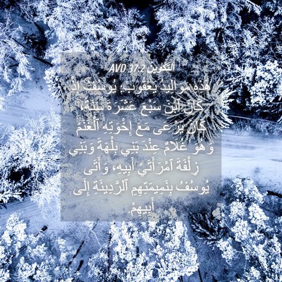 Picture 04 - اَلتَّكْوِينُ 37:2 AVD - هَذِهِ مَوَالِيدُ - Bible Verse Picture