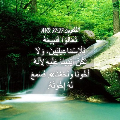 Picture 04 - اَلتَّكْوِينُ 37:27 AVD - تَعَالَوْا فَنَبِيعَهُ - Bible Verse Picture