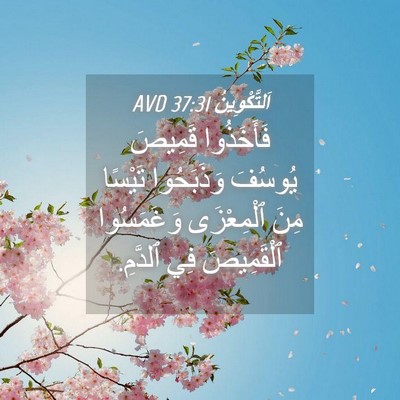 Picture 04 - اَلتَّكْوِينُ 37:31 AVD - فَأَخَذُوا قَمِيصَ - Bible Verse Picture