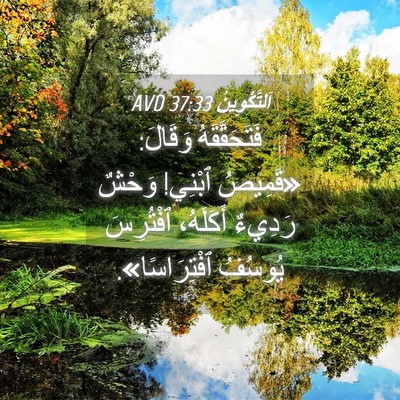Picture 04 - اَلتَّكْوِينُ 37:33 AVD - فَتَحَقَّقَهُ وَقَالَ: - Bible Verse Picture