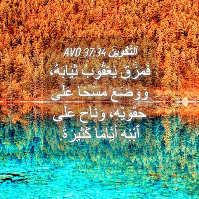 Picture 04 - اَلتَّكْوِينُ 37:34 AVD - فَمَزَّقَ يَعْقُوبُ - Bible Verse Picture