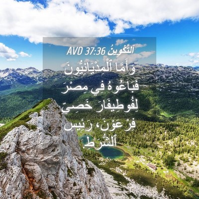 Picture 04 - اَلتَّكْوِينُ 37:36 AVD - وَأَمَّا - Bible Verse Picture
