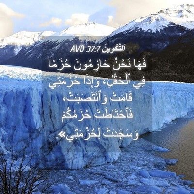 Picture 04 - اَلتَّكْوِينُ 37:7 AVD - فَهَا نَحْنُ حَازِمُونَ - Bible Verse Picture