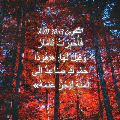 Picture 04 - اَلتَّكْوِينُ 38:13 AVD - فَأُخْبِرَتْ ثَامَارُ - Bible Verse Picture