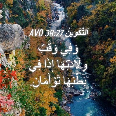 Picture 04 - اَلتَّكْوِينُ 38:27 AVD - وَفِي وَقْتِ وِلَادَتِهَا - Bible Verse Picture