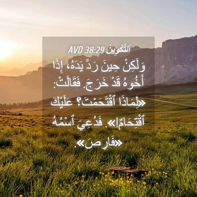 Picture 04 - اَلتَّكْوِينُ 38:29 AVD - وَلَكِنْ حِينَ رَدَّ - Bible Verse Picture