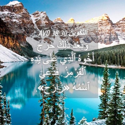 Picture 04 - اَلتَّكْوِينُ 38:30 AVD - وَبَعْدَ ذَلِكَ خَرَجَ - Bible Verse Picture