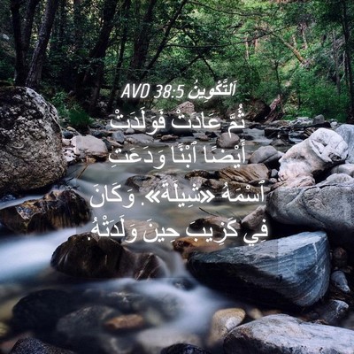 Picture 04 - اَلتَّكْوِينُ 38:5 AVD - ثُمَّ عَادَتْ فَوَلَدَتْ - Bible Verse Picture
