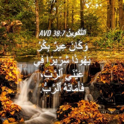 Picture 04 - اَلتَّكْوِينُ 38:7 AVD - وَكَانَ عِيرٌ بِكْرُ - Bible Verse Picture