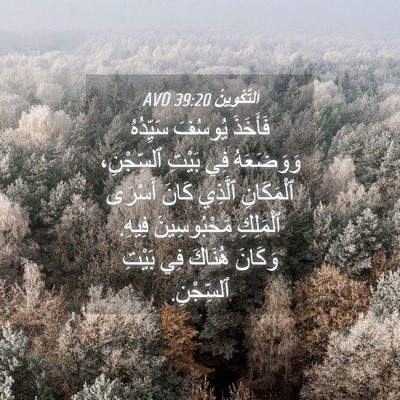 Picture 04 - اَلتَّكْوِينُ 39:20 AVD - فَأَخَذَ يُوسُفَ - Bible Verse Picture