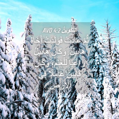 Picture 04 - اَلتَّكْوِينُ 4:2 AVD - ثُمَّ عَادَتْ فَوَلَدَتْ - Bible Verse Picture