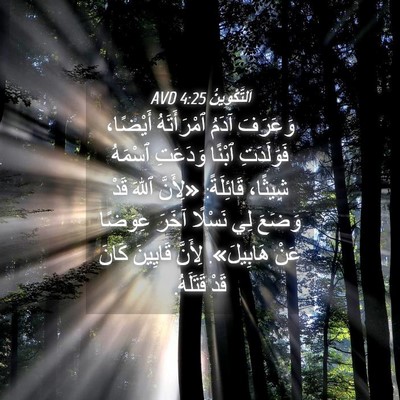 Picture 04 - اَلتَّكْوِينُ 4:25 AVD - وَعَرَفَ آدَمُ - Bible Verse Picture