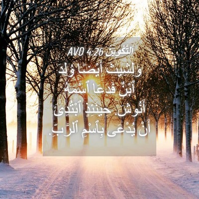 Picture 04 - اَلتَّكْوِينُ 4:26 AVD - وَلِشِيثَ أَيْضًا وُلِدَ - Bible Verse Picture