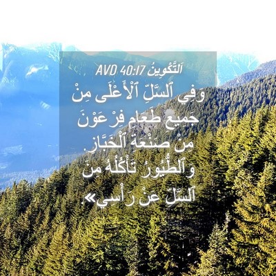 Picture 04 - اَلتَّكْوِينُ 40:17 AVD - وَفِي ٱلسَّلِّ ٱلْأَعْلَى - Bible Verse Picture