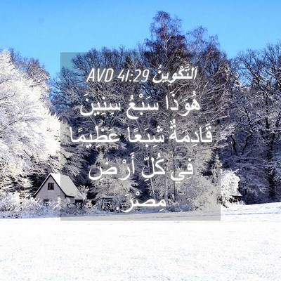 Picture 04 - اَلتَّكْوِينُ 41:29 AVD - هُوَذَا سَبْعُ سِنِينَ - Bible Verse Picture