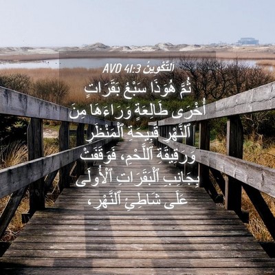 Picture 04 - اَلتَّكْوِينُ 41:3 AVD - ثُمَّ هُوَذَا سَبْعُ - Bible Verse Picture