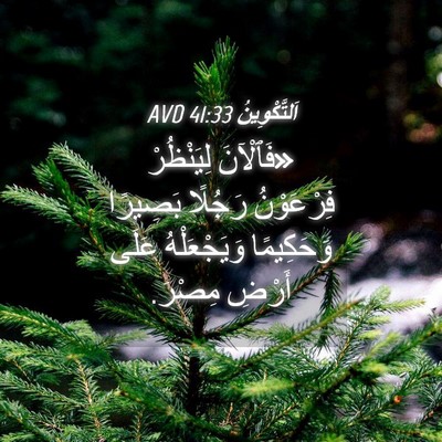 Picture 04 - اَلتَّكْوِينُ 41:33 AVD - «فَٱلْآنَ لِيَنْظُرْ - Bible Verse Picture