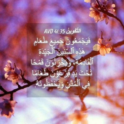 Picture 04 - اَلتَّكْوِينُ 41:35 AVD - فَيَجْمَعُونَ جَمِيعَ - Bible Verse Picture