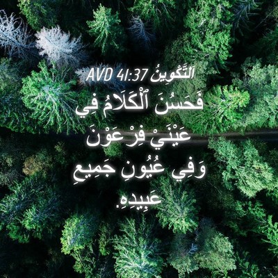 Picture 04 - اَلتَّكْوِينُ 41:37 AVD - فَحَسُنَ ٱلْكَلَامُ فِي - Bible Verse Picture